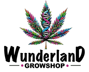 Hanfshop Wunderland