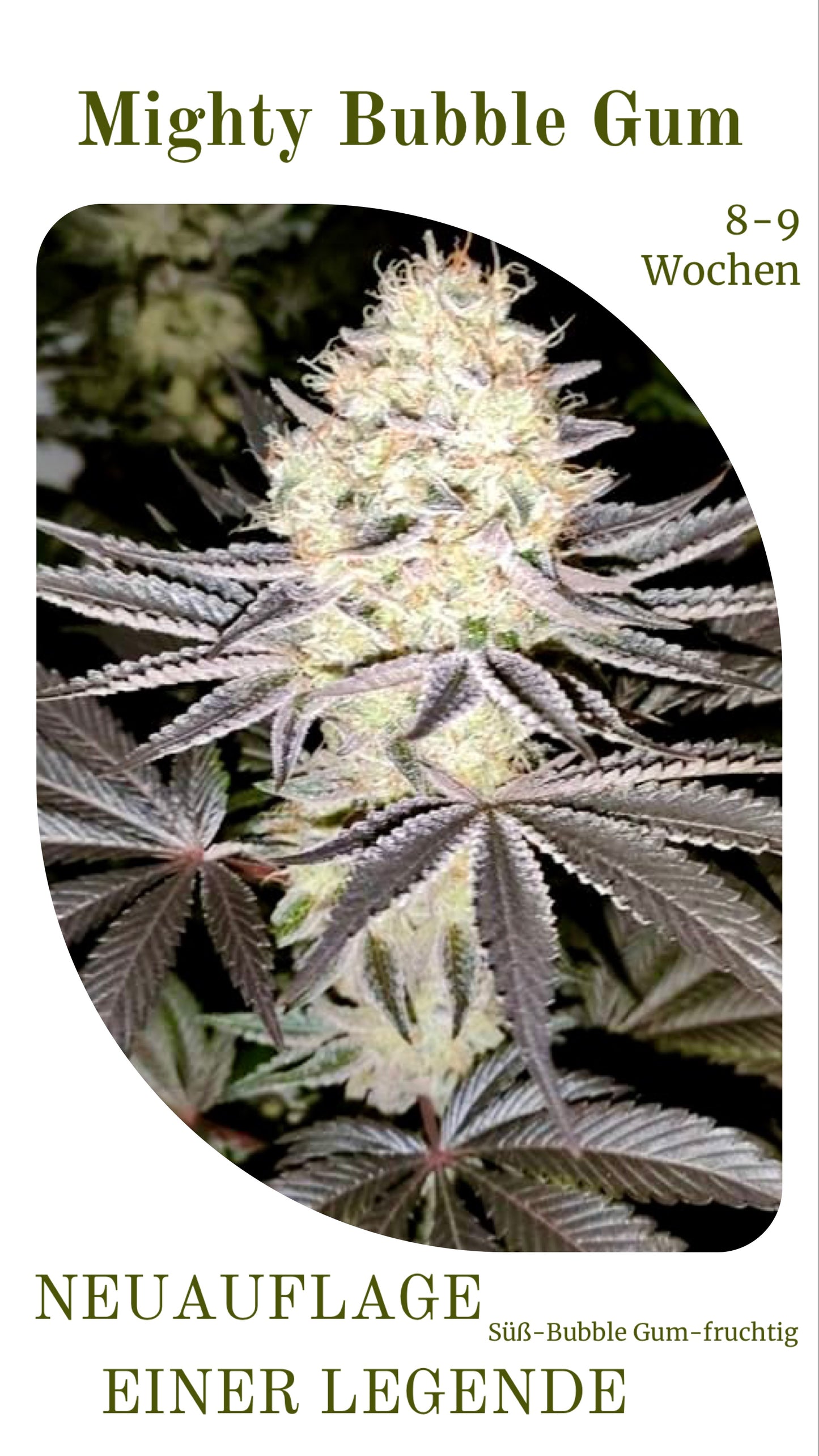 Mighty Bubble Gum - Neuauflage einer Legende