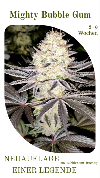 Mighty Bubble Gum - Neuauflage einer Legende