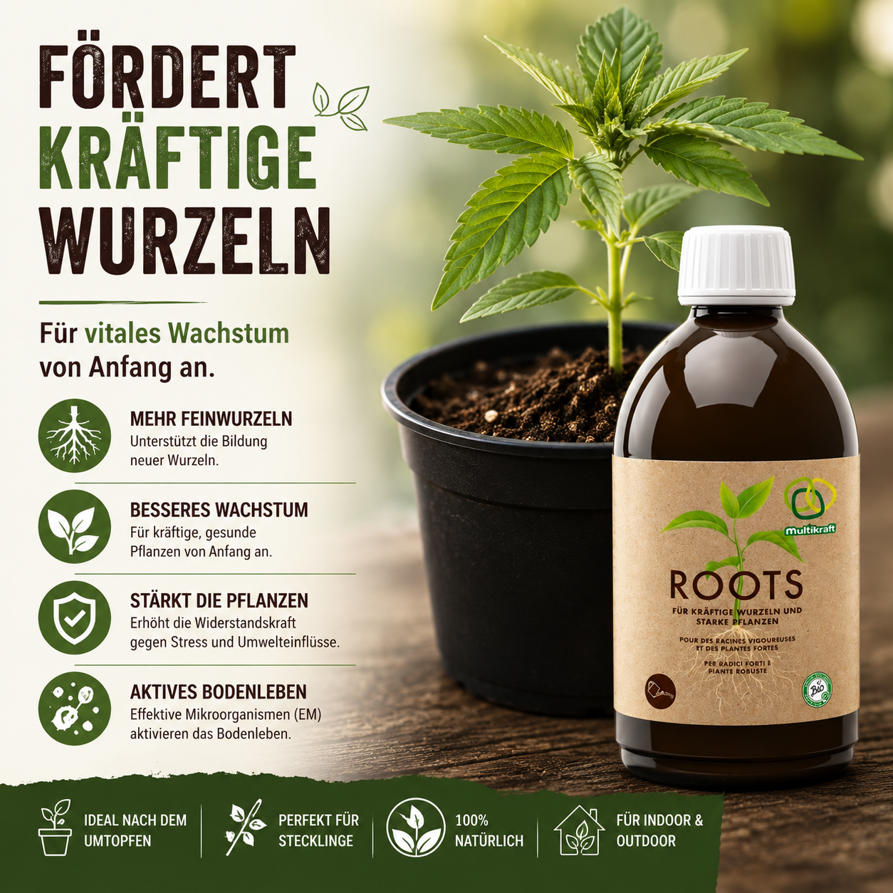 Fördert kräftige Wurzeln - Für vitales Wachstum von Anfang an | Hanfshop Wunderland